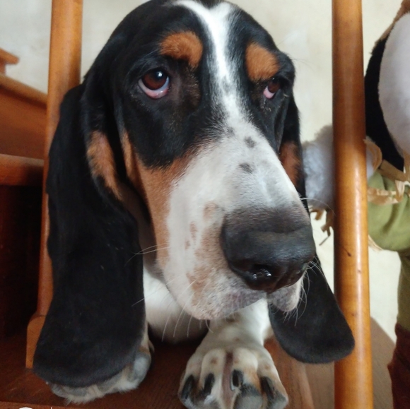 Welcome! 🦋 - Picture 9 of 13